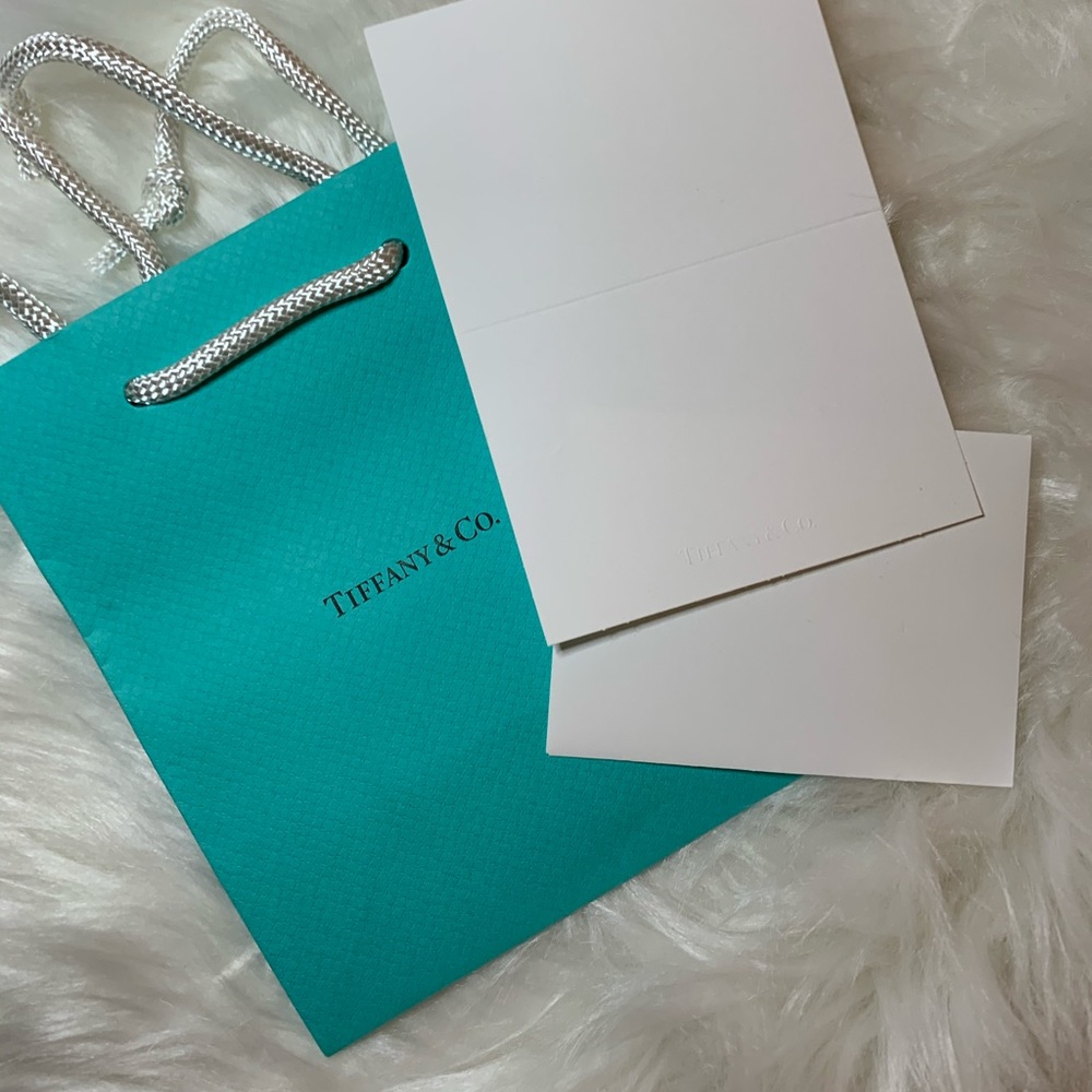 Tiffany & Co. Small shopping bag with the card